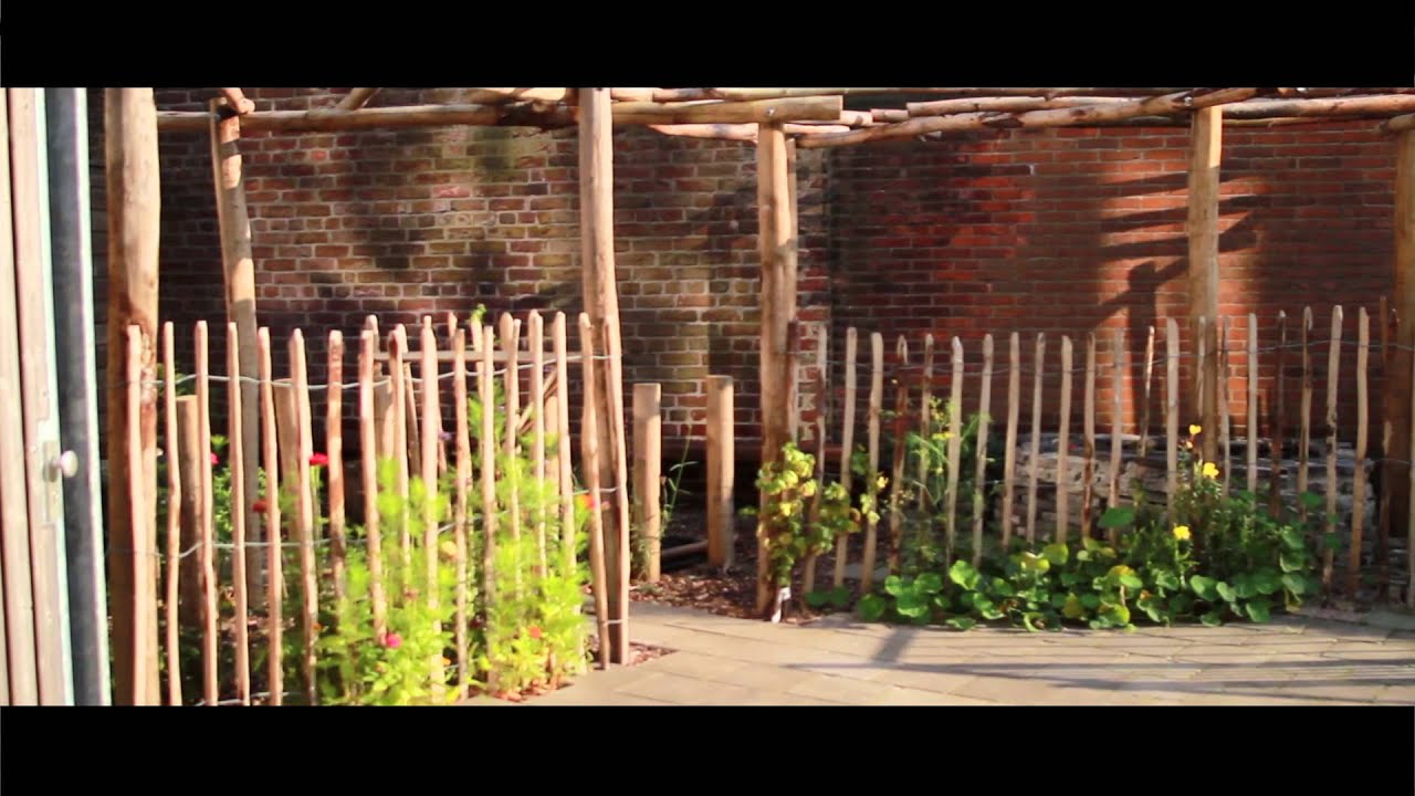 Project groen op de Heldringschool