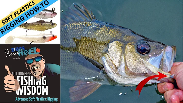 FISHING WISDOM — Better Soft Plastic Fishing: Rigging Strategies