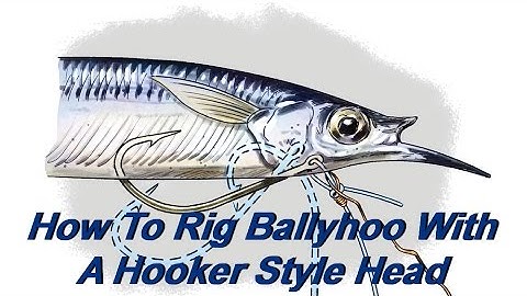 How To Rig Ballyhoo With A Hooker Style Head