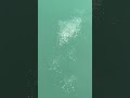アミエビをまいても、魚が1匹も寄ってこない・・・。潮が悪いとはどういうことか？