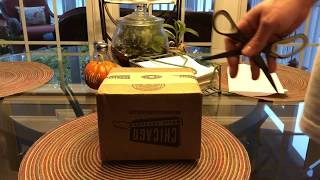 Chicago Music Exchange Fulltone OCD Unboxing