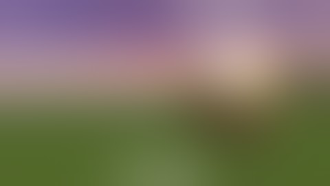 BROMINE CPVP MONTAGE - lazzy2wice skill boost