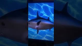 Spongebob Intro Fandub Unused Version