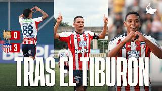 Tras El Tiburón Un Paso Más Cerca De La Clasificación A.doradas 0-3 Junior Fc