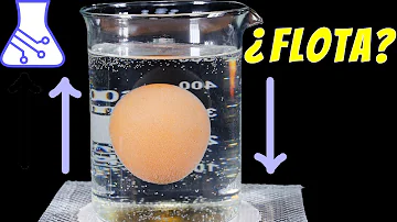 ¿Qué le ocurre a un huevo cuando se sumerge en agua salada?