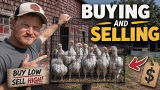 I Bought Some Rare Birds At The Chicken Auction!!