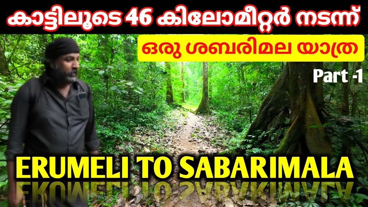 കാട്ടിലൂടെ 46 കിലോമീറ്റർ നടന്ന് ശബരിമലക്ക് 🙏🕉️ Walking through the forest from Erumeli to Sabarimala