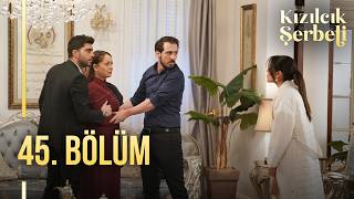 Kızılcık Şerbeti 45 Bölüm 