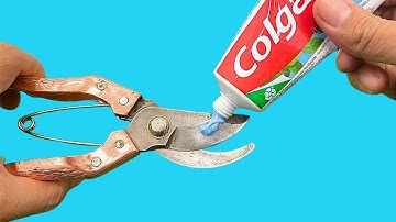 Amazing Method to Sharpen Pruning Shears To Razor Sharp In 5 minutes ✨