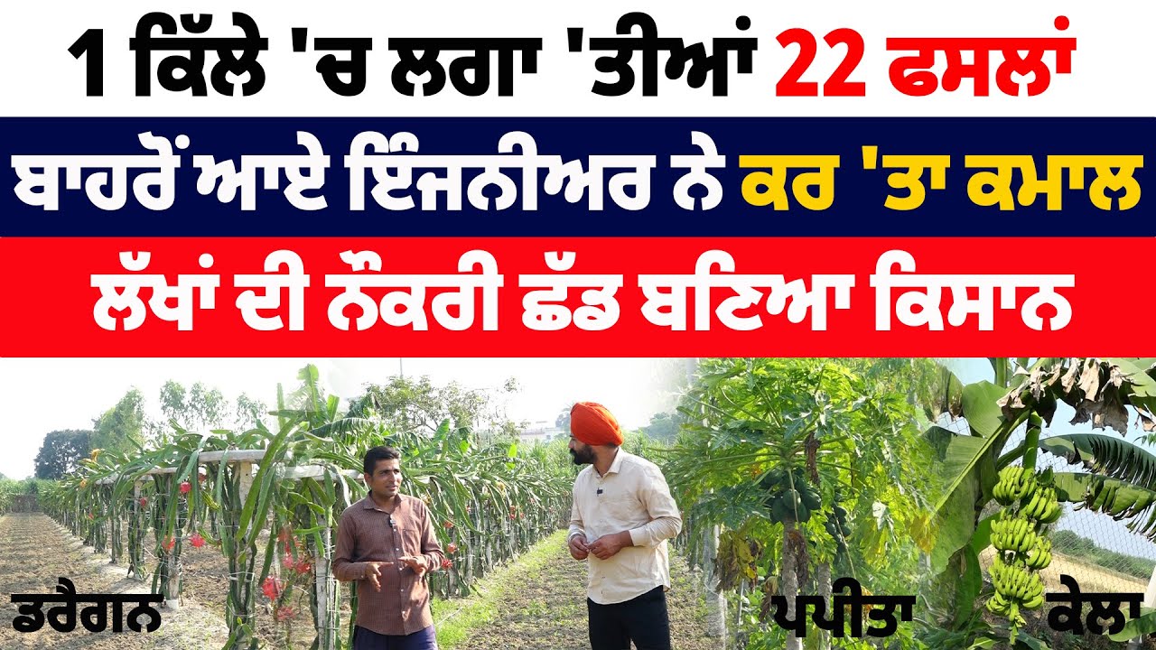 1 ਖੇਤ ‘ਚ ਲਗਾ ਦਿੱਤੀਆਂ 22 ਫਸਲਾ, ਬਾਹਰੋ ਆਏ ਇੰਜੀਨਿਅਰ ਨੌਜਵਾਨ ਦਾ ਕਮਾਲ, ਲੱਖਾਂ ਦੀ ਨੌਕਰੀ ਛੱਡ ਬਣਿਆ ਕਿਸਾਨ
