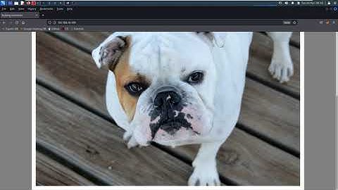 EP009: Bulldog1 from #Vulnhub Walkthrough