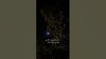 تلاوه خاشعه| قمة الهدوء والسكينه | القارئ عبدالرحمن مسعد 💕