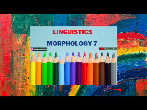 Video: Morf kelimesinin kökü nedir?
