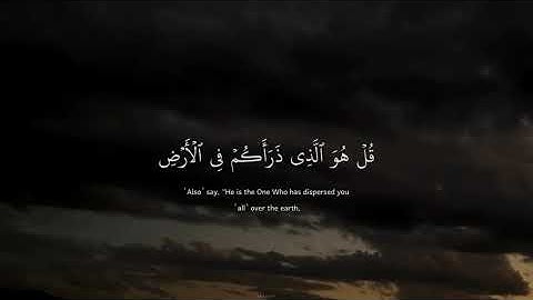 أرح سمعك 🥀 القارئ: شريف مصطفى 🍃 حالات واتس آب