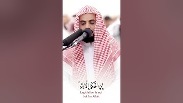 "يا صاحِبَيِ السّجن أأربابٌ مُّتفرّقُونَ خيرٌ أم اللهُ الواحدُ القهّارُ" تلاوة آسرة للشيخ رعد الكردي
