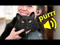 The Supurrvisor purring caught on mic