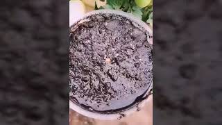 The Miracles that Allah has given us