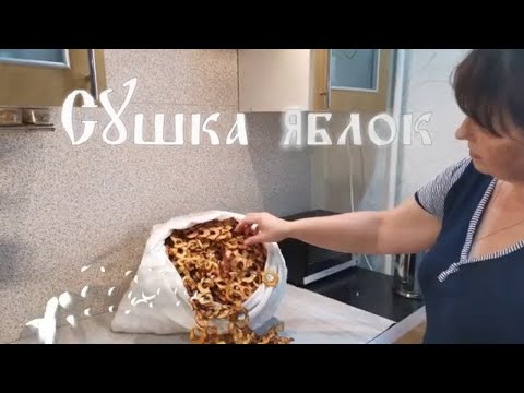 Сушка яблок в электрической духовке