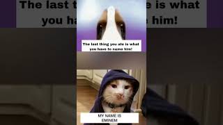 cat name