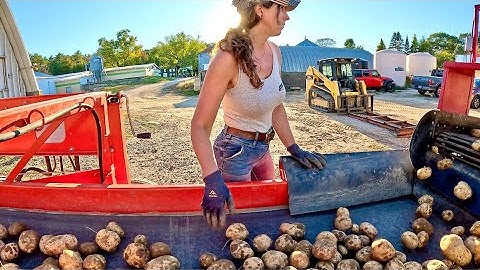 Potato Storage Begins! 2025