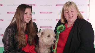 Crufts 2017 | Best of Breed winner Emily Sage and Glen of Imaal terrier Bella