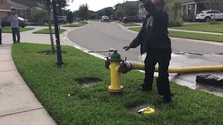 Off-duty Tampa firefighter rescues neighbor from burning home