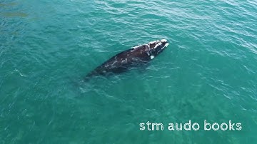 The science of getting rich- Chapter 8 "Thinking in the certain way"