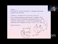 Данияр Шамканов//Исчисления секвенций: первое знакомство