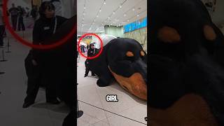This Bank Has the Scariest Guard Dog on Earth!