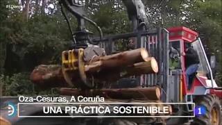 Programa España Directo - TVE: Reportaje industria de la madera de Galicia