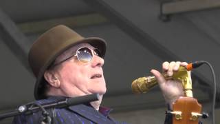 Van Morrison Moondance 2016 New Orleans Jazz Festival chords