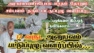 வருடம் முழுவதும் லாபம் தரும் பட்டுப்புழு வளர்ப்பு | Pattu pulu valarpu in tamil | Sericulture ideas