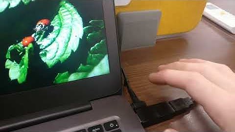 Hardware Dead Man Switch for Laptops (BusKill)