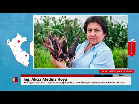 ESTE VIERNES 5 SE CELEBRA EL DÍA NACIONAL DEL MAÍZ