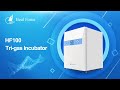 Vídeo: Incubadores automaticos Tri-Gas de CO2 / O2 HEAL FORCE