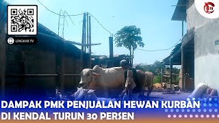 DAMPAK PMK PENJUALAN HEWAN KURBAN DI KENDAL TURUN 30 PERSEN