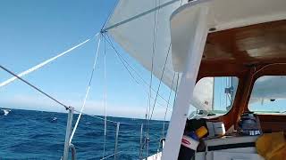 Running to Port Chalmers New Zealand