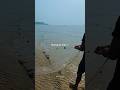 BALESHWAR DUBLAGADI SEA BEACH 🌊 ⛱️  #balasore #dublagadi #baleswar #viral #foryou #trending #youtube