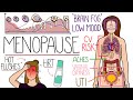 Menopause Explained Clearly (Includes HRT &amp; Perimenopause)