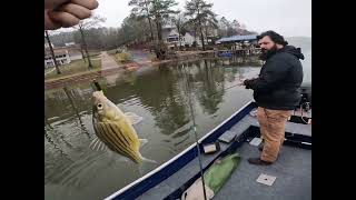 Ultralight Fishing Weiss Lake!!!!