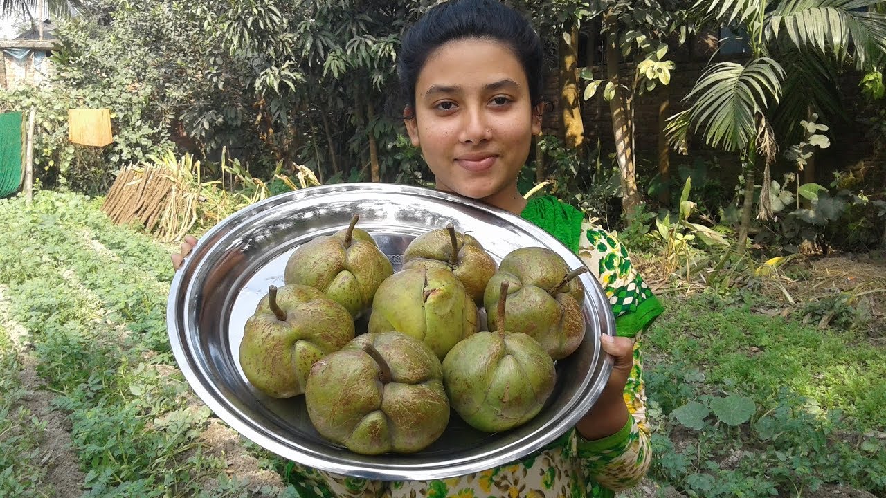 Elephant apple. Слоновье яблоко фрукт. Elephant Apple at Kakkayam dam дерево. Kerala Mango Max.