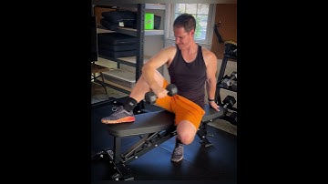 Seated Dumbbell External Rotations