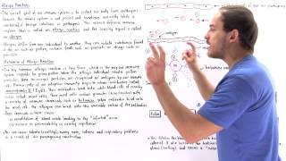 Allergens and Allergic Reactions