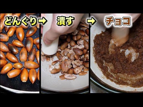 ドングリからチョコレート作ってみた