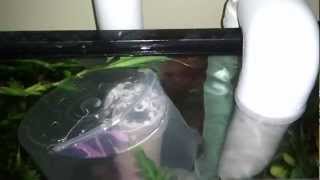 DIY Overflow silencer (ugly but fast and free)