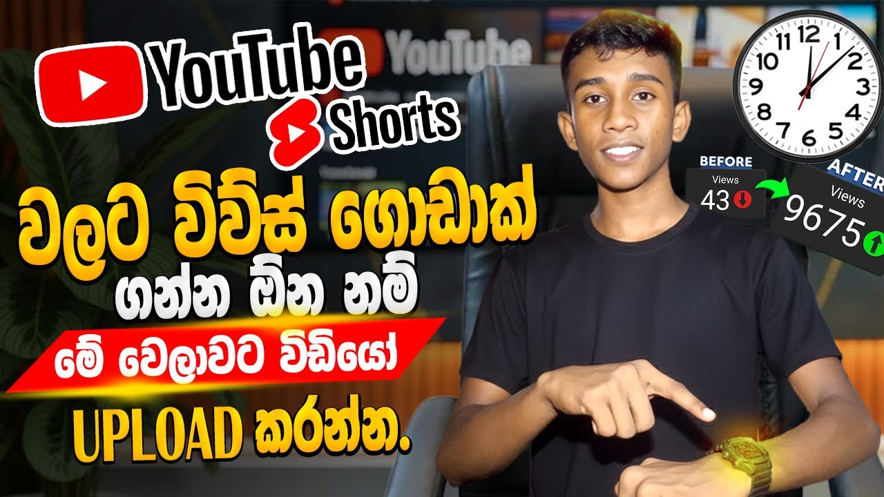 Views ගොඩාක් යන්න හරිම වෙලාවට Short Video Upload කරමු.🤩| Best Time to Upload Youtube Short Videos