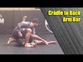 Cradle to Back Arm Bar