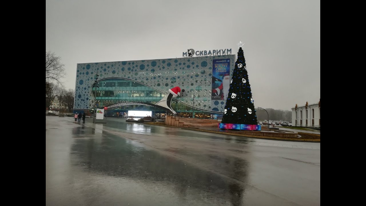 Москвариум - YouTube