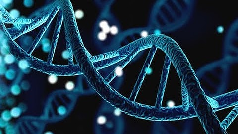 PENGGUNAAN APLIKASI BIOEDIT DAN DNA STAR