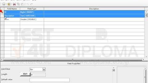 Set the ID and Description fields of the open table as primary keys. Save and close the table.